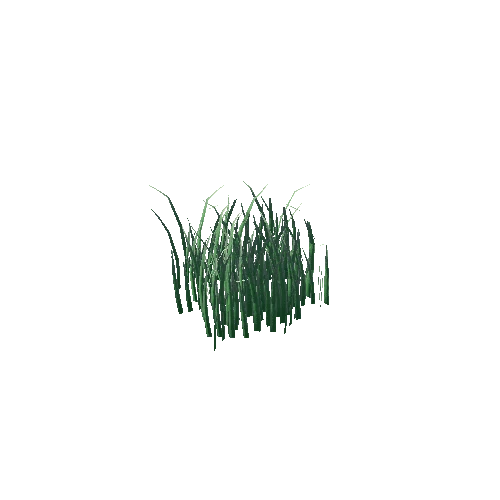 Grass D Bush 4